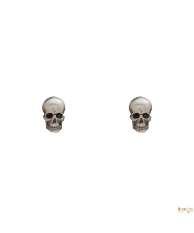 Pendientes en plata de 1ª ley de Raive